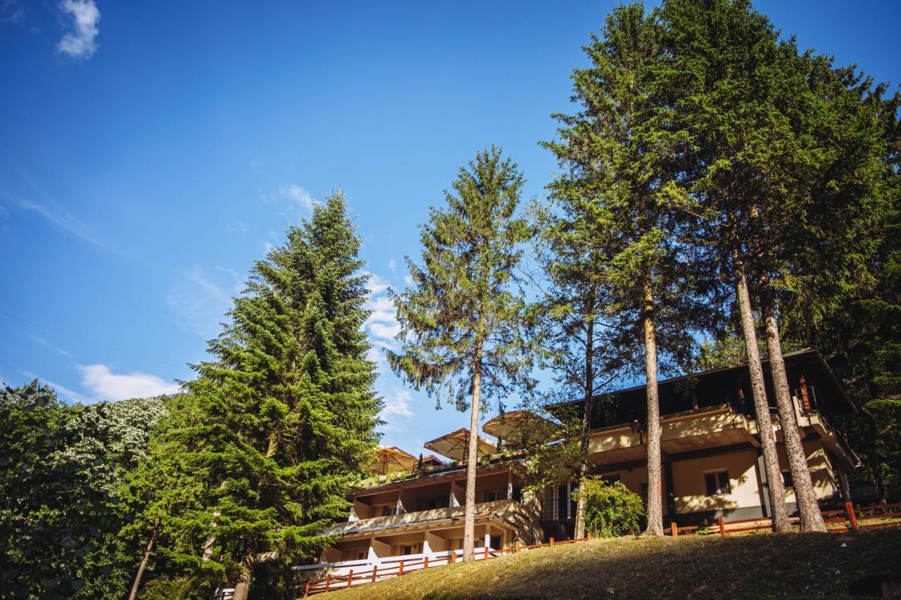 Restoran Sa Prenocistem Gornjak Krepoljin Exterior photo